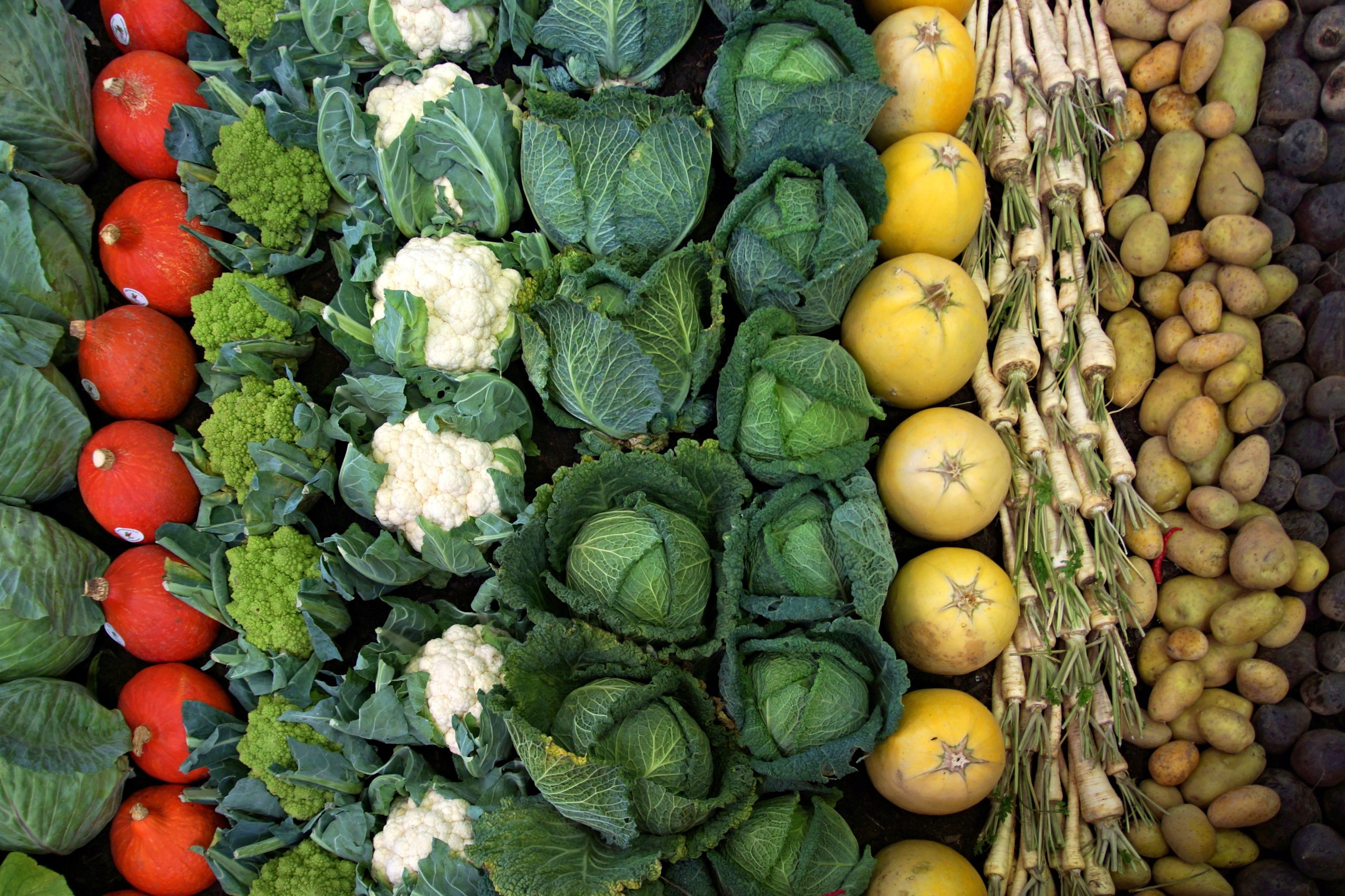 Légumes frais variés dont chou et chou-fleur